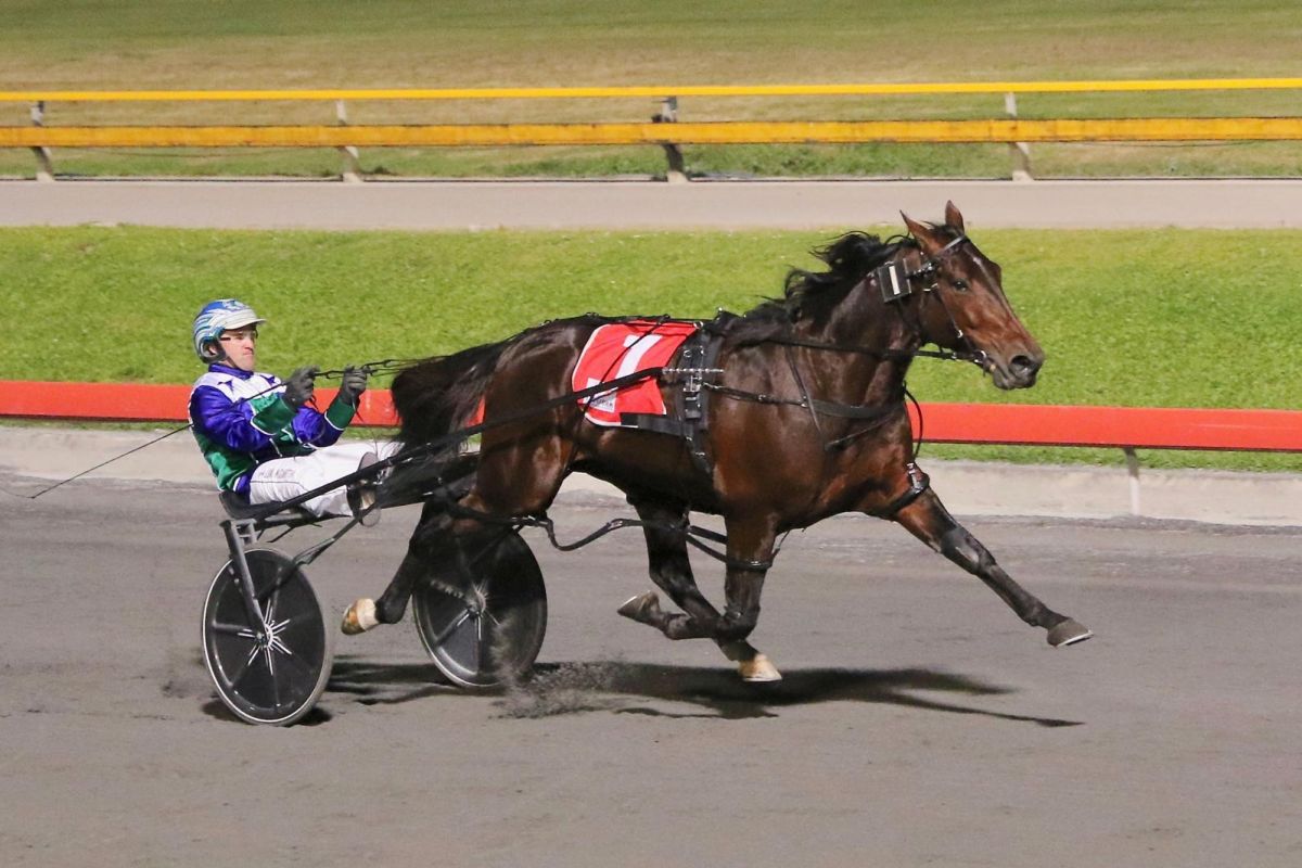 King of Swing wins Lucky Creed Open Pace